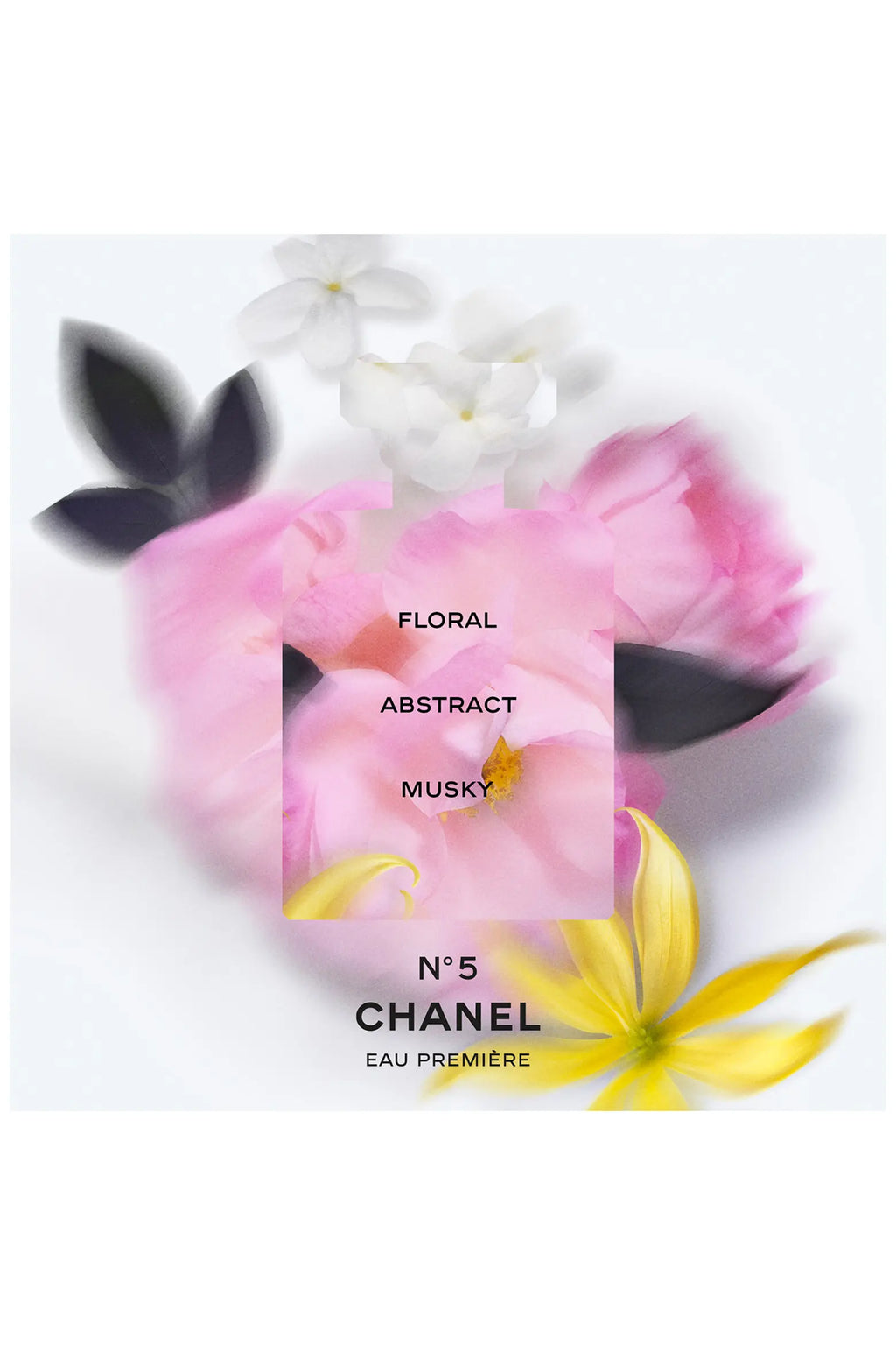 N5 EDP SPRAY