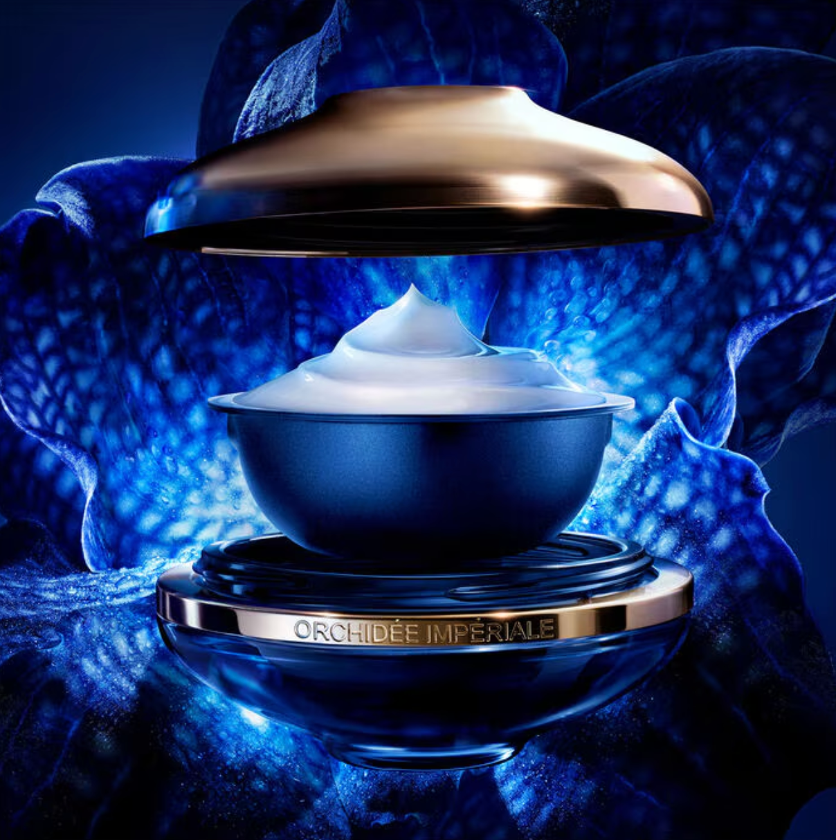 THE LONGEVITY LIGHT CREAM