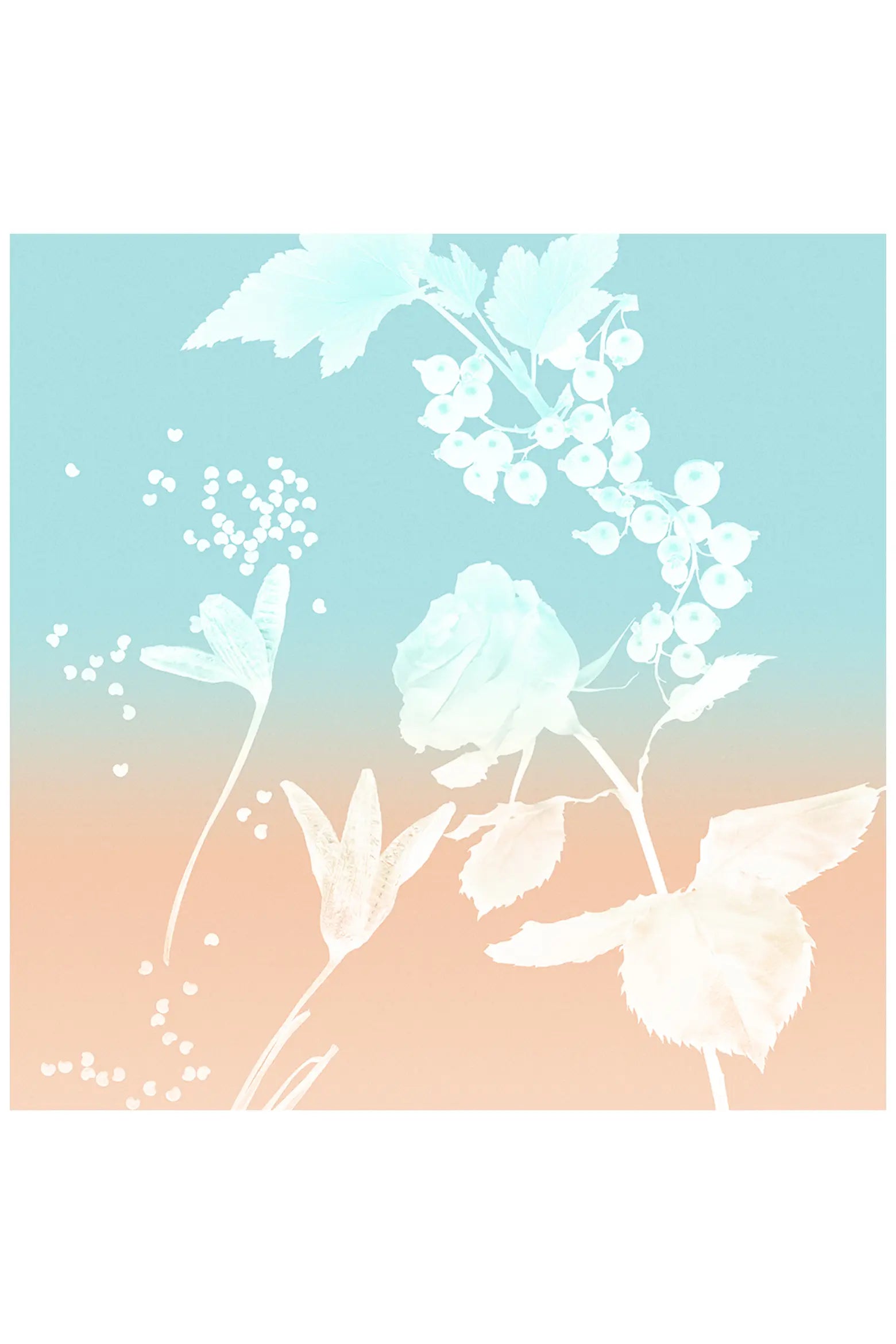 Rose Gold Eau de Parfum