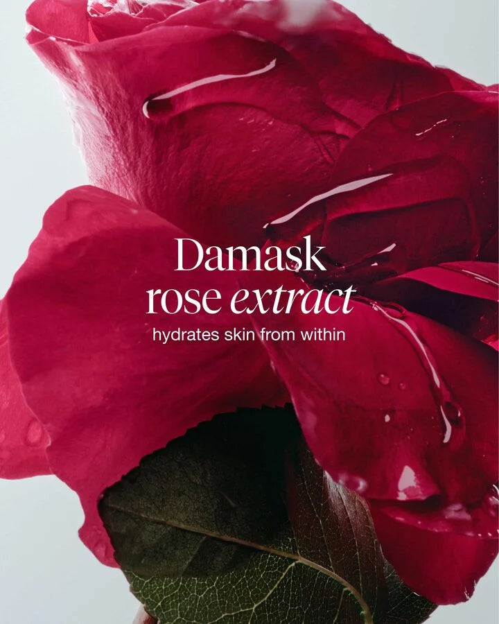 rose deep hydration face cream