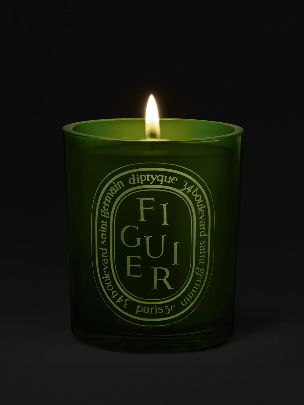 Figuier (Fig Tree) Medium Candle