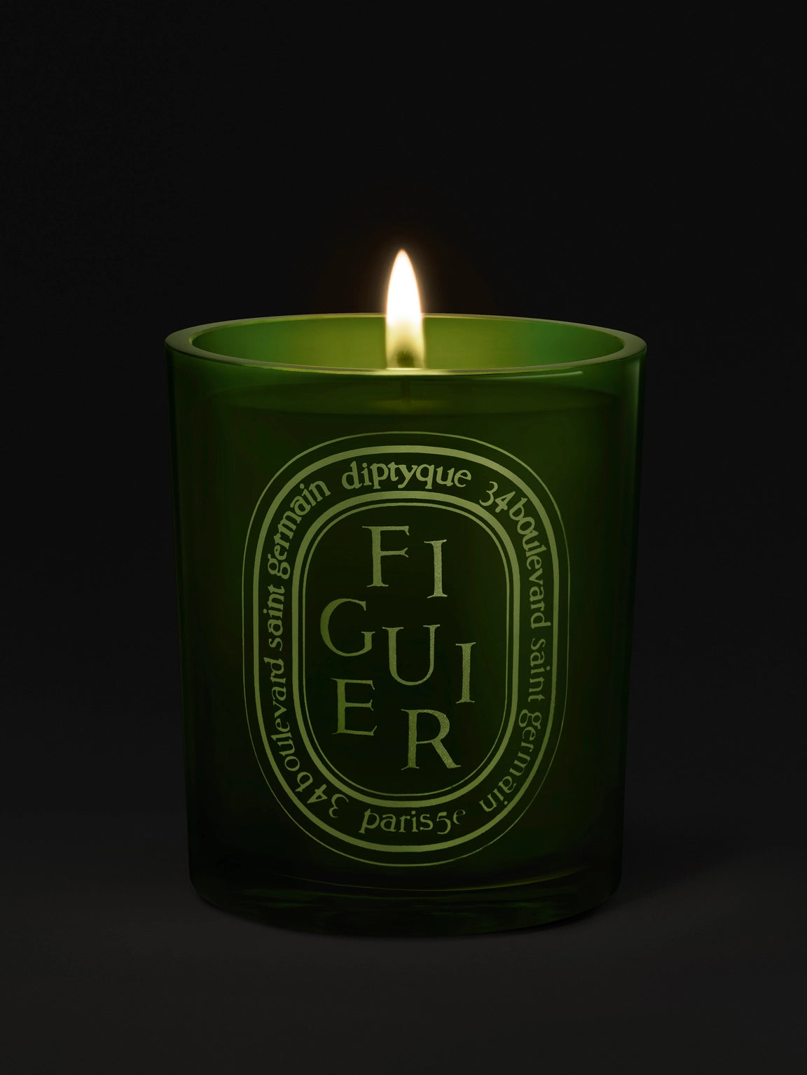 Figuier (Fig Tree) Medium Candle
