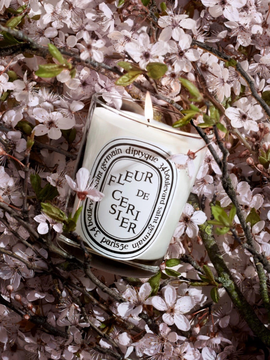 Fleur de Cerisier (Cherry Blossom) Classic Candle