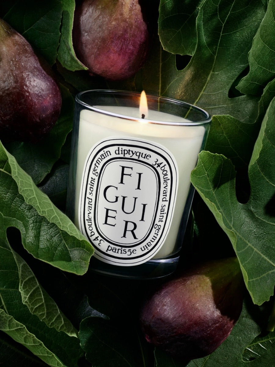 Figuier (Fig Tree) Classic Candle