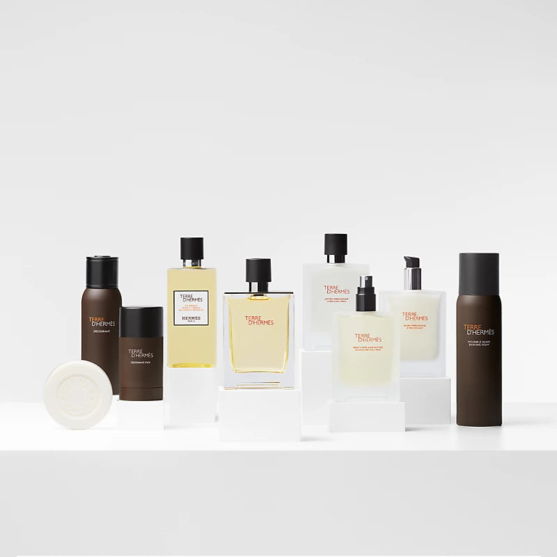 Terre d'Hermès alcohol-free Deodorant stick